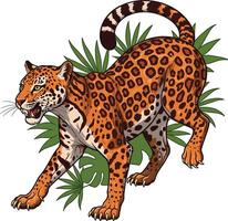 Jaguar stalking wild animal with spotted fur and sharp claws in jungle environment vector