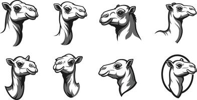 Camel head illustrations with black and brown outlines in various styles and expressions for design and decoration purposes vector