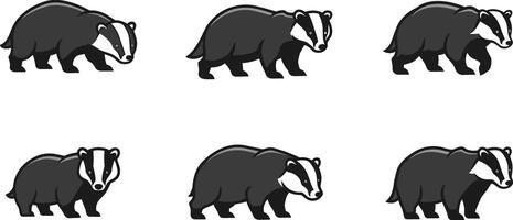 Badger head set with black and white detailed animal illustrations in various face angles for wildlife design and nature projects vector