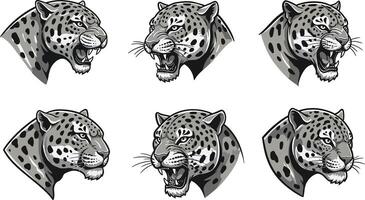 Leopard head set showing different facial expressions in illustration style suitable for wildlife and animal art projects vector
