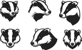 Six different ferret head sketches showing various facial expressions and orientations in black and white line art style vector