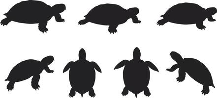 Silhouettes of Turtle Shapes in Various Poses Illustration for Nature and Wildlife Design vector