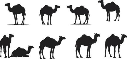 Llama silhouette illustration in black and white with isolated and grouped poses for graphic design use vector