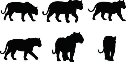 Black Panther Silhouettes in Various Walking and Standing Poses Illustration vector