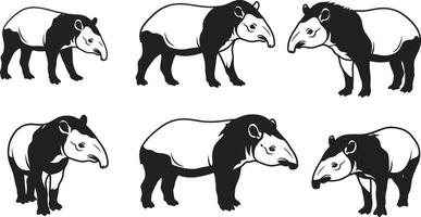 Tapir animal illustrations set showing various poses and side views natural wildlife images vector
