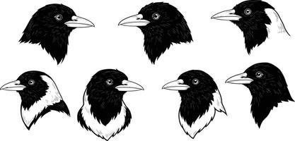 Raven bird head profile set with various angles black and white illustration vector