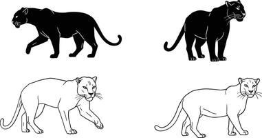 Black and white panther illustrations in walking and standing poses collection for wildlife design and nature projects vector