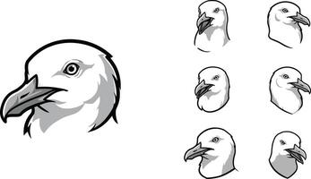 Bald eagle head illustrations showing various angles of white feathers and orange beak in style vector