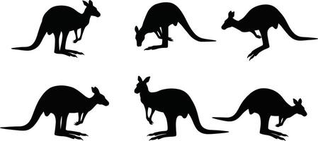 Kangaroo Silhouettes Set Showing Different Poses and Movements in Black Style vector