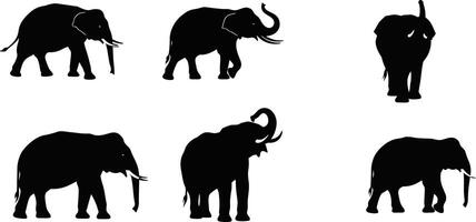 Elephant silhouettes set with various poses and trunk movements illustration black shapes vector
