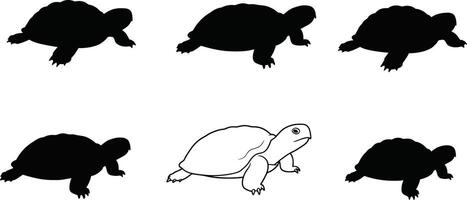 Turtle silhouettes and line art collection of various swimming turtle poses in black and white simple style vector