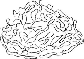 An abstract line art composition showcasing organic forms and inviting textural elements vector