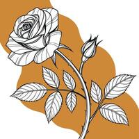 A detailed line art illustration of a rose with leaves and a bud on a branch vector