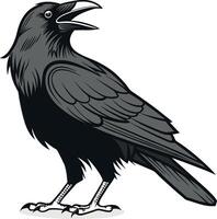 A grayscale illustration of a crow standing with its beak open on a white background vector