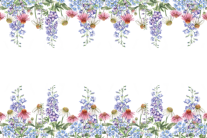 Rectangular frame with flowers of echinacea, forget-me-not and delphinium. Isolated watercolor illustration of bouquets for design of packaging of cosmetic products, candies, printing on clothes png