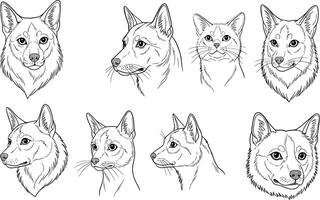 Various wolf head sketches in black outline style showing different angles and expressions with detailed fur texture illustration vector