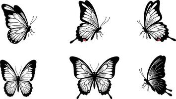 Black and white butterfly illustration showing six different wing positions in natural style vector