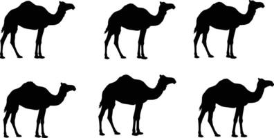 Camel silhouette multiple side views black simple animal illustrations desert wildlife design vector