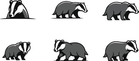 Badger animal illustrations showing different walking poses in black and white style vector