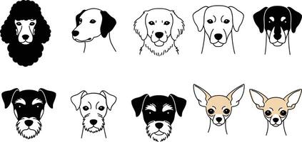 Various dog breed head illustrations with simple black and white line art and minimal color for chihuahuas vector