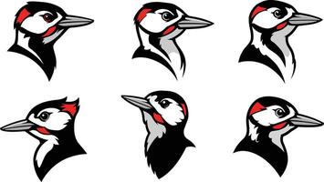Woodpecker bird head close-up illustrations with red and black feathers in multiple poses set vector