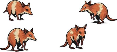 Four brown opossums walking and sitting in different poses illustration vector
