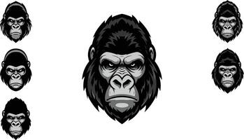 Gorilla illustrations showing different standing and walking poses in dark grey and black colors for design use vector