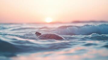 Turtles Swimming in Early Hours photo