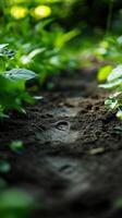 Early Journeys within the Garden photo