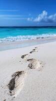 Pathway of Turtle by Azure Seas photo