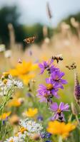 Wildflower Meadow Alive with Pollinators photo