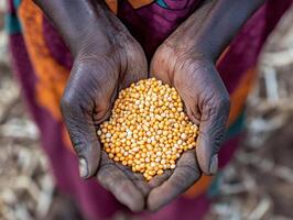 Nutritional Insight Fighting Starvation photo