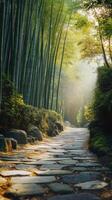 Bamboo Lined Pathway Veiled By Wisps of Morning Mist photo