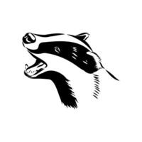 omnivorous animal badger hand sketch vector