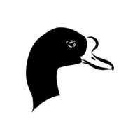 shelduck duck head sketch vector