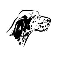 dog's head english setter sketch vector