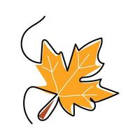 Continuous line illustration depicting a maple leaf. Botanical natural ecological concept, Maple leaf icon. Maple leaf illustration. Fore vector