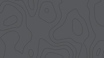 Dark Gray Abstract Topographic Map Background. Minimal Terrain Line Art vector