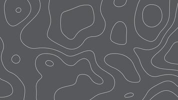 Dark Gray Topographic Map Background. Minimal Abstract Contour Line Pattern vector