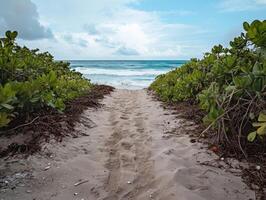 Ocean Trail of Coastal Lands photo
