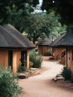 Peaceful Mud Construct Settlement photo