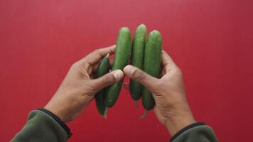 Holding cucumbers over red background in kitchen setting video