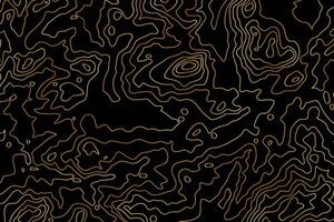 collection of Topographic map. Abstract shapes illustration design. Contour map pattern. gold line isolated in black background. vector