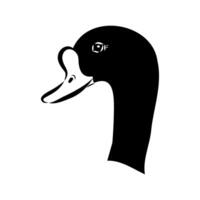goose-like duck shelduck sketch vector