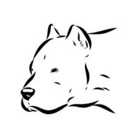 Great Dane's head handmade sketch vector