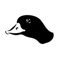 Shelduck duck of paradise head sketch vector