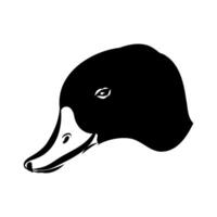 The head of a beautiful shelduck is hand-drawn vector