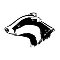 omnivorous animal badger sketch vector