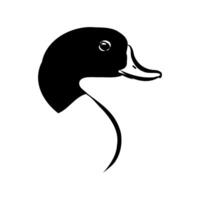 The head of the paradise duck shelduck drawing vector