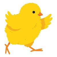 Bright Yellow Cute Chick Walking Cheerfully with Fluffy Feathers and Playful Expression vector
